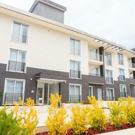Vignadonica Resort Фишано Экстерьер фото